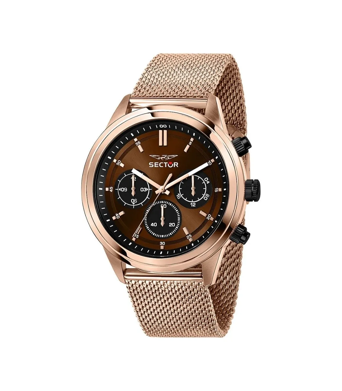 Orologio Uomo Sector 670 Acciaio 45mm Marrone Oro Rosa  R3253540009